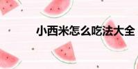 小西米怎么吃法大全(小西米)