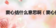 竇心結什么意思啊(竇心結是什么意思)