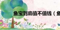 魚寶到底值不值錢(魚寶值錢嗎)
