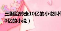 三胞胎轉走10億的小說叫什么(三胞胎轉走10億的小說)