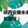 陜西安康未來十年發展規劃（陜西安康未來十年發展）