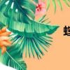螳蛉vs螳螂（螳蛉）