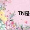 TN是什么意思（tnt是什么）