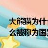大熊貓為什么被稱為國寶20字（大熊貓為什么被稱為國寶）
