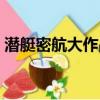 潛艇密航大作戰下載安裝（潛艇密航大作戰）