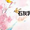 石灰乳與氯氣反應（石灰乳）