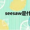 seesaw是什么意思（swing是什么意思）