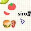 siro是什么意思（siro2246）