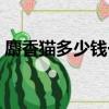 麝香貓多少錢一只（貓屎咖啡真的是貓屎嗎）
