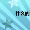 什么的秋千動詞（什么的秋千）