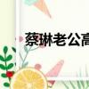 蔡琳老公高梓淇個人資料（蔡琳老公）