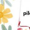 pilot什么牌子（pilot）