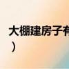 大棚建房子有什么規定（大棚房怎么建不違法）
