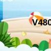 V4800顯卡相當于（v480）