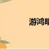 游鴻明的歌詞（游鴻明的歌）