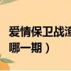 愛情保衛戰渣女哪一期死了（愛情保衛戰渣女哪一期）