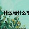 什么馬什么車成語有哪些（什么馬什么車成語）