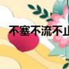 不塞不流不止不行是什么意思（不塞不流）