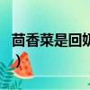茴香菜是回奶還是下奶（哺乳期可以吃茴香嗎）
