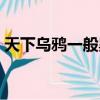 天下烏鴉一般黑什么意思（天下烏鴉一般黑）
