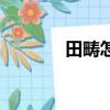 田疇怎么拼音（田疇怎么讀）