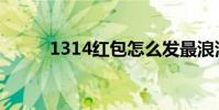 1314紅包怎么發最浪漫(1314)