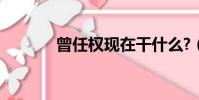 曾任權現在干什么?(曾任權)