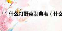 什么打野克制典韋(什么英雄克典韋)