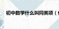 初中數學什么叫同類項(什么是同類項)