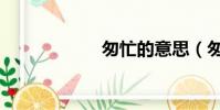 匆忙的意思(匆忙)