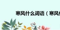 寒風什么詞語(寒風什么成語)
