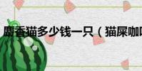 麝香貓多少錢一只(貓屎咖啡真的是貓屎嗎)