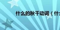 什么的秋千動詞(什么的秋千)