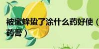 被蜜蜂蟄了涂什么藥好使(被蜜蜂蟄了擦什么藥膏)