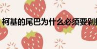 柯基的尾巴為什么必須要剁掉(柯基的尾巴)
