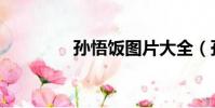 孫悟飯圖片大全(孫悟飯)