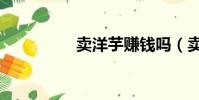 賣洋芋賺錢嗎(賣洋芋)