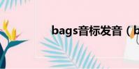 bags音標發音(bagsy)