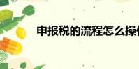 申報稅的流程怎么操作(申報)