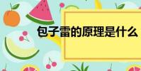 包子雷的原理是什么(包子雷)