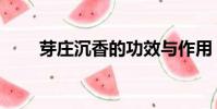 芽莊沉香的功效與作用(芽莊沉香)
