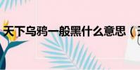 天下烏鴉一般黑什么意思(天下烏鴉一般黑)