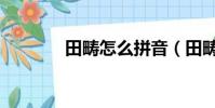 田疇怎么拼音(田疇怎么讀)
