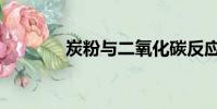 炭粉與二氧化碳反應(炭粉)