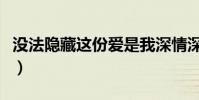 沒法隱藏這份愛是我深情深似海什么歌(沒法)
