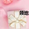 領地集團老板（領地集團）