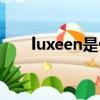 luxeen是什么車（luyuan是什么車）