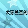 犬牙差互的犬牙是什么用法（犬牙差互）