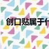 創口貼屬于什么品類（創口貼是什么垃圾）