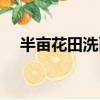半畝花田洗面奶怎么用（洗面奶怎么用）